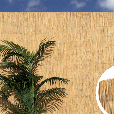 Bambú Reed Multi | Cañizo de Junco Pelado Multivarilla