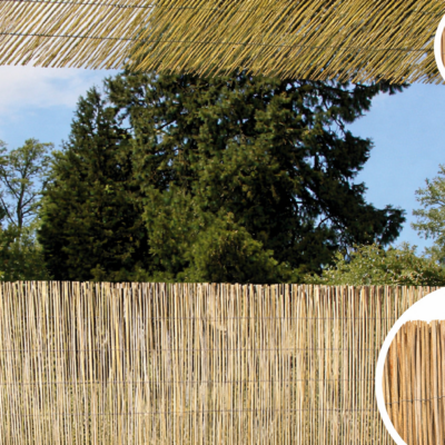 Bambú Pelado Reedcane | Cañizo Natural para Balcones