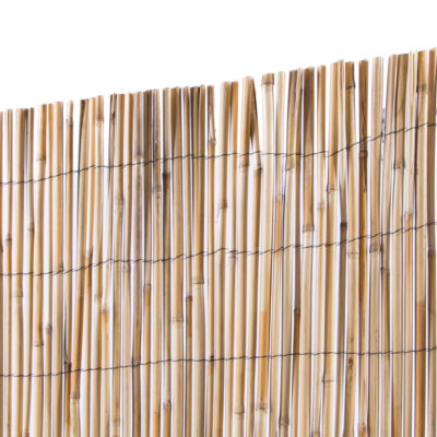 Cañizo Mediterráneo Slim | Caña Natural Varilla Media