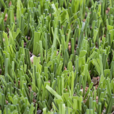 Césped Artificial para Campos de Fútbol