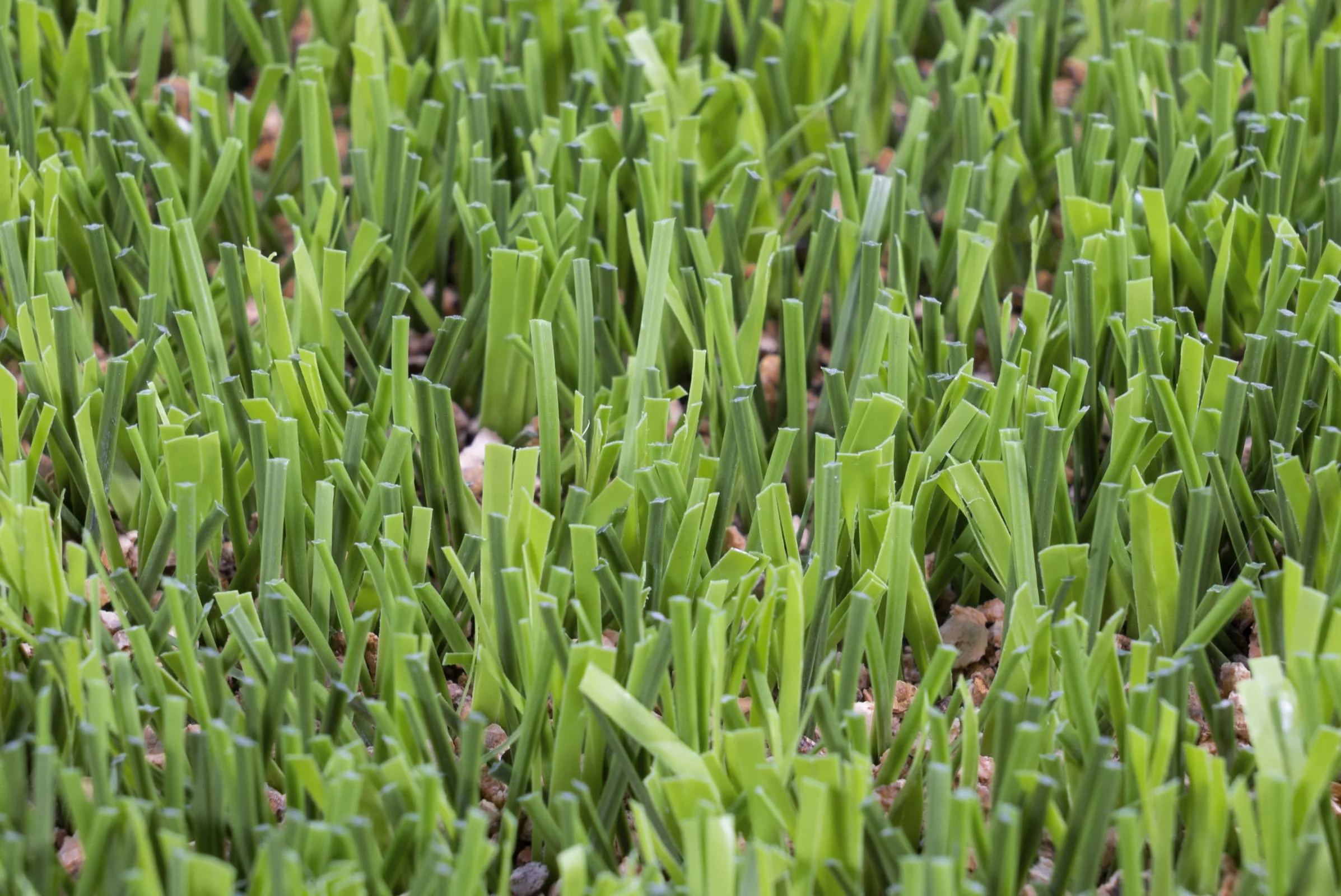 Césped artificial para campos de fútbol