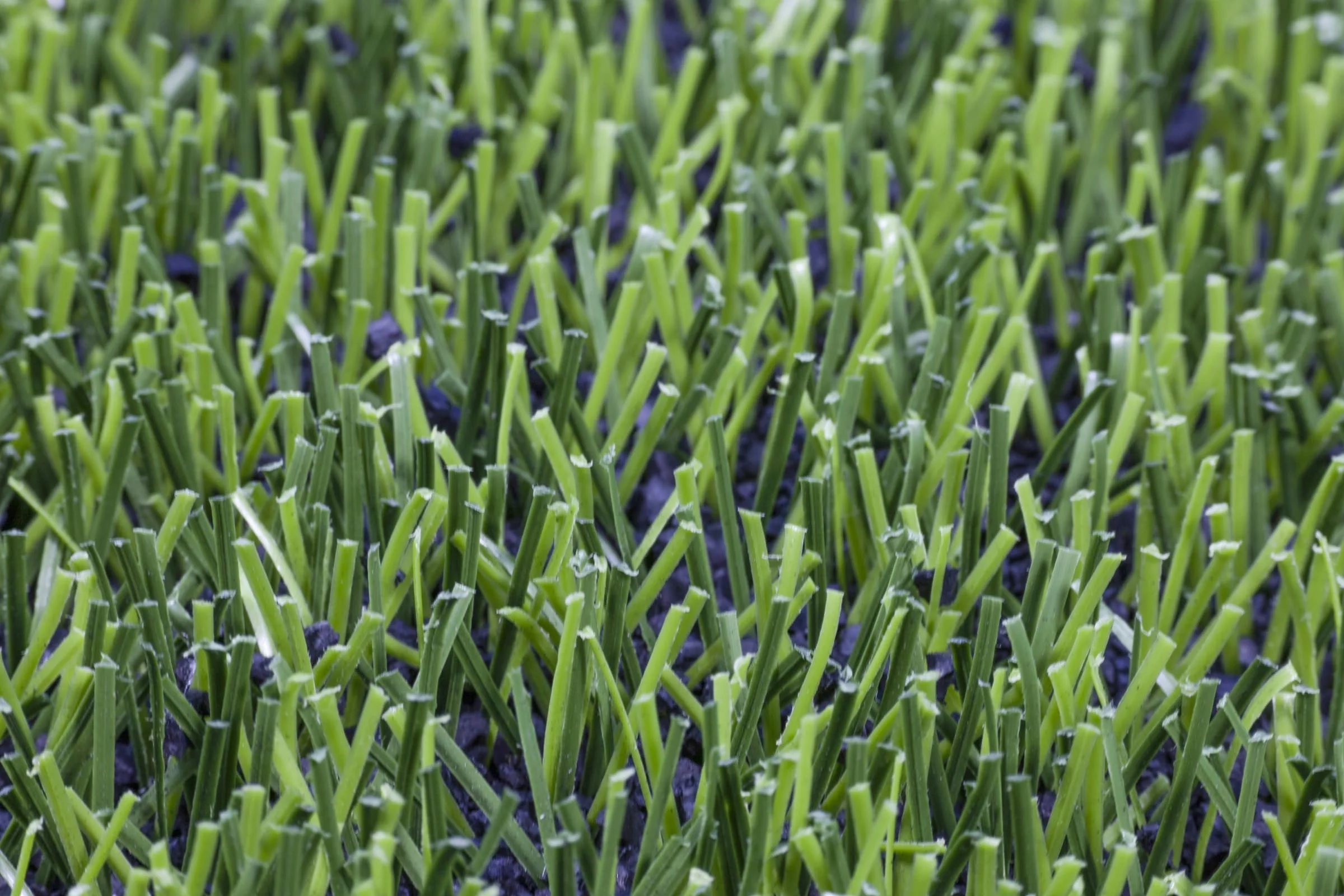 Césped artificial para campos de fútbol