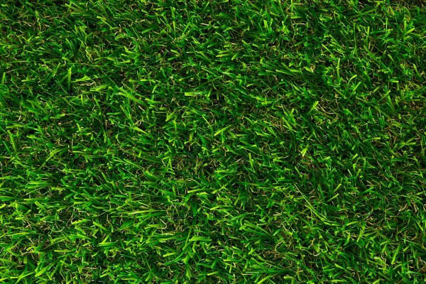 Césped Artificial Económico De Última Generación - Creschendo 30 - Kora Habitat Césped artificial