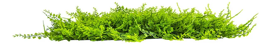 Jardín Vertical Artificial Ignífugo - Modelo Na188009H (Efecto Helecho Certificado) - Kora Habitat Jardín vertical