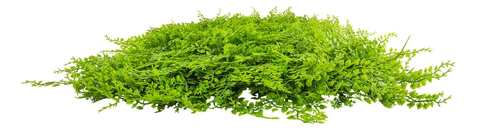 Jardín Vertical Artificial Ignífugo - Modelo Na188009H (Efecto Helecho Certificado) - Kora Habitat Jardín vertical