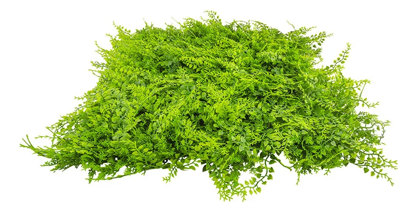 Jardín Vertical Artificial Ignífugo - Modelo Na188009H (Efecto Helecho Certificado) - Kora Habitat Jardín vertical