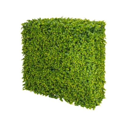 Seto Artificial