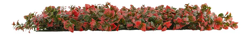Jardín Vertical Artificial De Pachysandra - Modelo Na188004L (Matices Verde Y Rojo) - Kora Habitat Jardín vertical