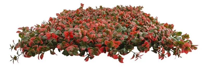 Jardín Vertical Artificial De Pachysandra - Modelo Na188004L (Matices Verde Y Rojo) - Kora Habitat Jardín vertical