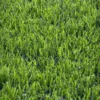 Césped Artificial para Campos de Fútbol